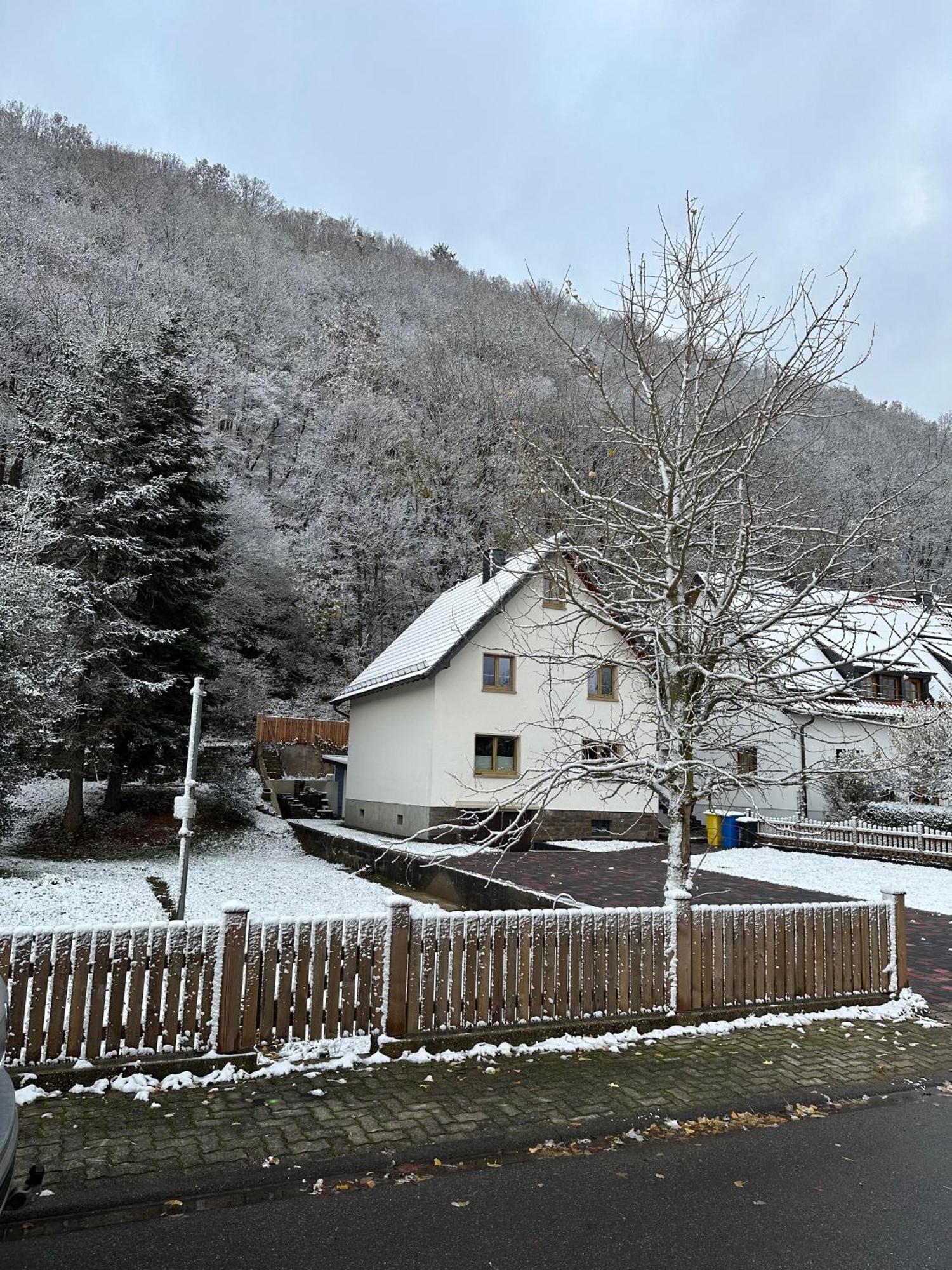 Ferienhaus Ginkgo Biloba Malsbenden Exterior photo