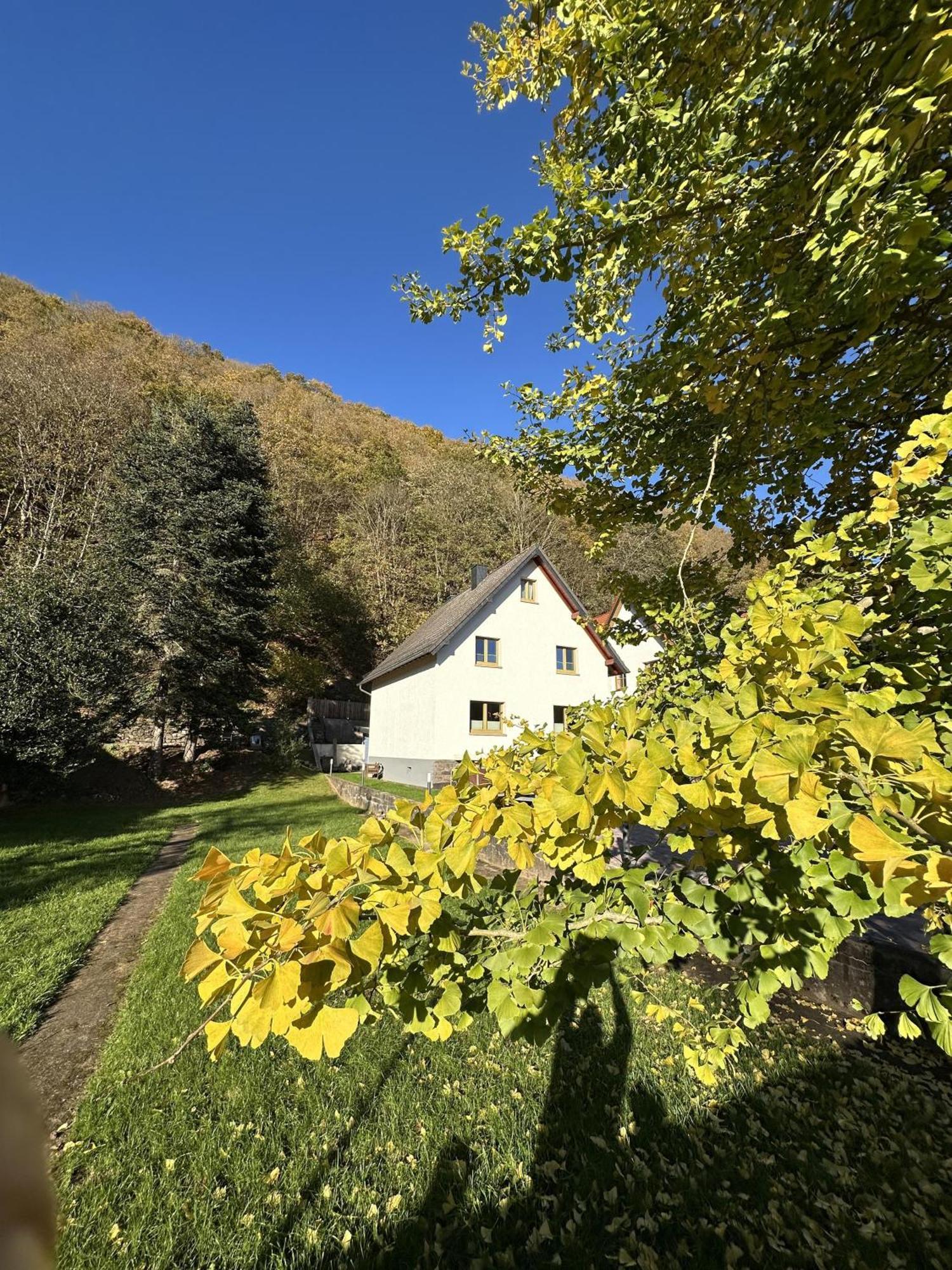 Ferienhaus Ginkgo Biloba Malsbenden Exterior photo